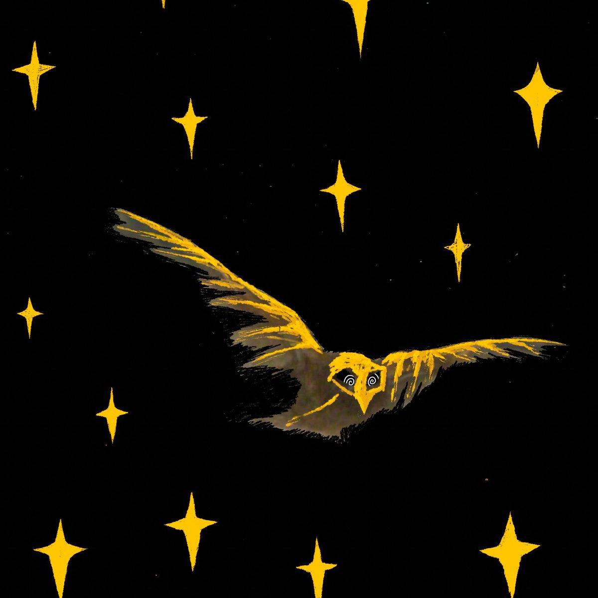 A gold illustrated bird soaring amongst stars.